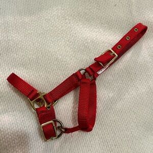 Lot of Livestock Halters- 6 total